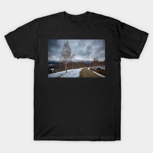 Road in the mountains T-Shirt